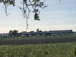 boerderijcamping Black Angus Farm